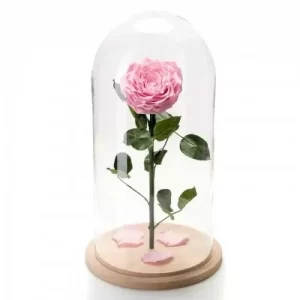 Forever Rose ροζ σε γυάλινη καμπάνα 17cm