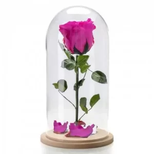 Forever Rose φούξια σε γυάλινη καμπάνα 17cm