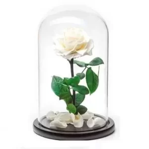 Forever Rose λευκό σε γυάλινη καμπάνα 17cm
