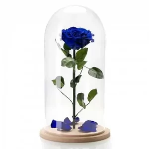 Forever Rose μπλε σε γυάλινη καμπάνα 23cm