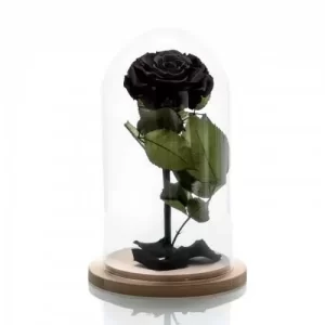Forever Rose μαύρο σε γυάλινη καμπάνα 23cm