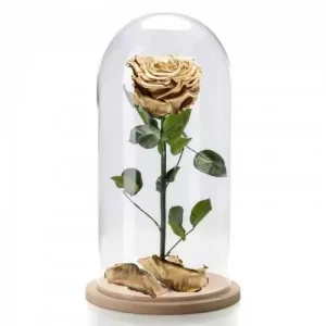Forever Rose χρυσό σε γυάλινη καμπάνα 27cm