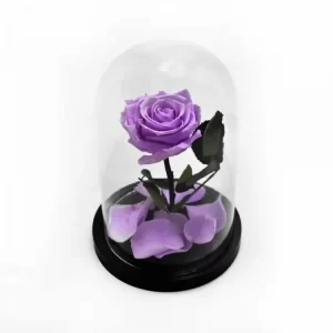 Forever Rose μωβ σε γυάλινη καμπάνα 17cm