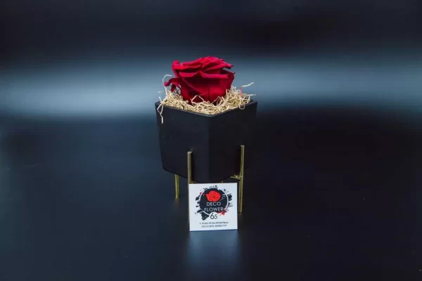 Forever Rose κόκκινο Eco Glass τετράγωνο μικρό