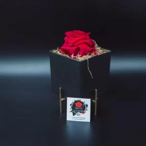 Forever Rose κόκκινο Eco Glass τετράγωνο μεγάλο