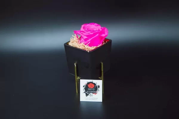 Forever Rose φούξια Eco Glass τετράγωνο μικρό