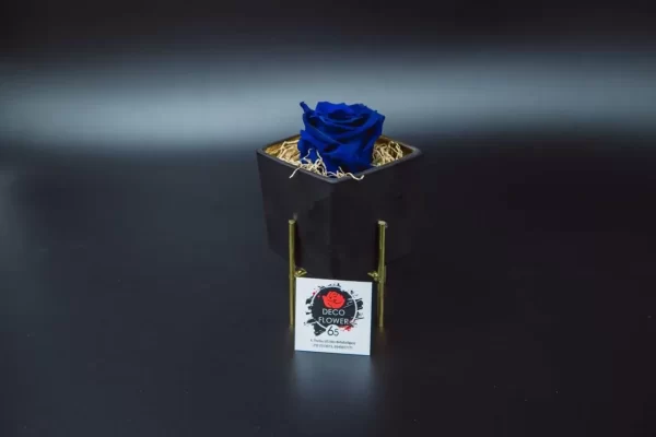 Forever Rose μπλε Eco Glass τετράγωνο μικρό