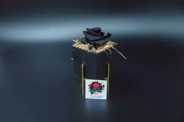 Forever Rose μαύρο Eco Glass τετράγωνο μικρό