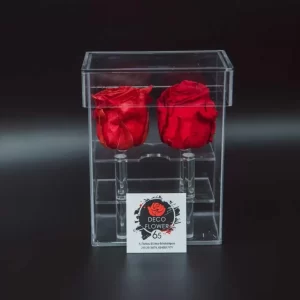 Forever Rose Plexiglass κόκκινο