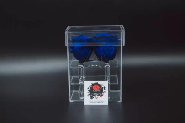 Forever Rose Plexiglass μπλε