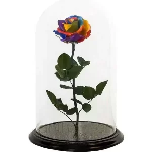 Forever Rose πολύχρωμο σε γυάλινη καμπάνα 23cm