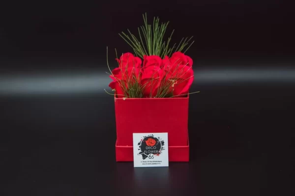 Soap Roses κόκκινο με 6 τριαντάφυλλα