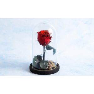 Forever Rose 17cm Σε Γυάλινη Καμπάνα