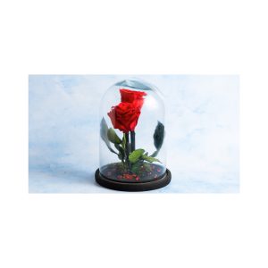 Forever Rose 32cm Σε Γυάλινη Καμπάνα 32cm