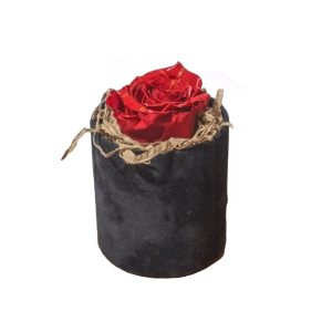 Forever Rose Κύλινδoς βελουτε Eco Glass