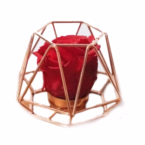 Forever Rose σε Eco Glass Διαμαντι