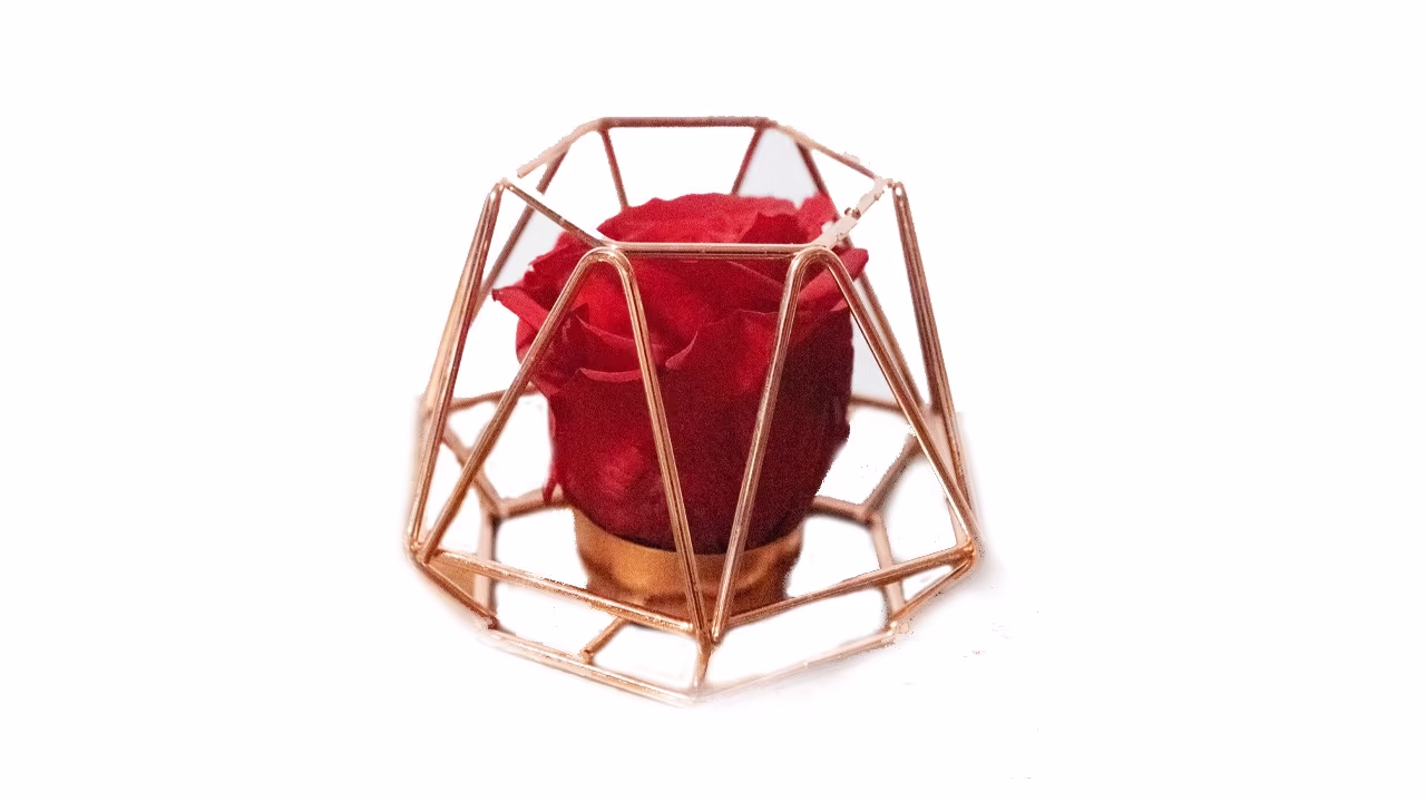 Forever Rose σε Eco Glass Διαμαντι