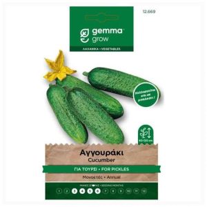 Αγγούρι φακελάκι 20 γρ