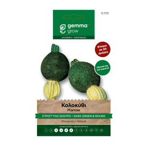 Κολοκύθι φακελάκι 20 γρ