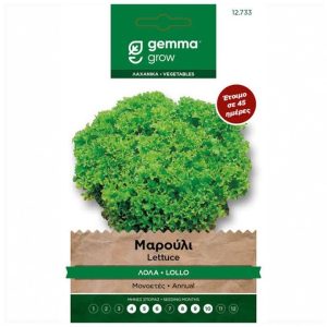 Μαρούλι 10 τεμαχια