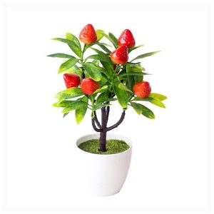 Φράουλες σε Γλάστρα